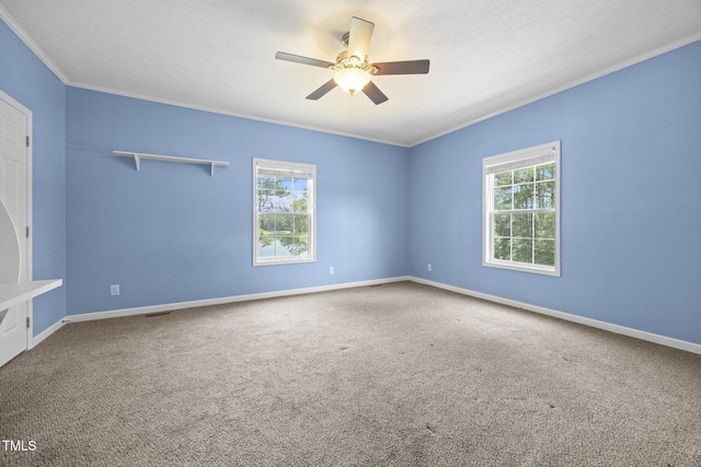 215 Collins Rd, Lillington, NC 27546 - photo 25