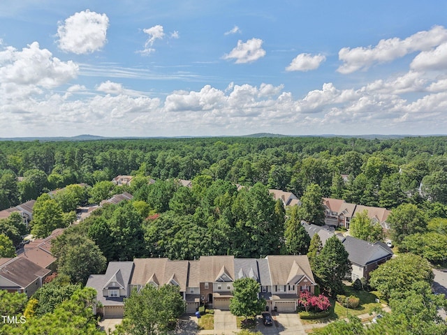 207 Napa Valley Way, Chapel Hill, NC 27516 - photo 38