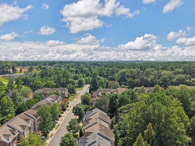 207 Napa Valley Way, Chapel Hill, NC 27516 - photo 40