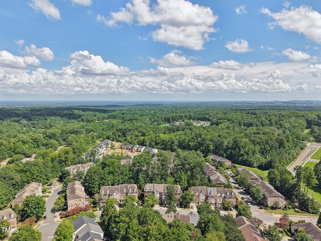 207 Napa Valley Way, Chapel Hill, NC 27516 - photo 41