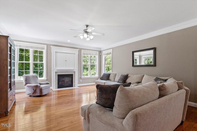 7804 Percussion Dr, Apex, NC 27539 - living area with ornamental molding, plenty of natural light, a fireplace, light wood-type flooring, and ceiling fan