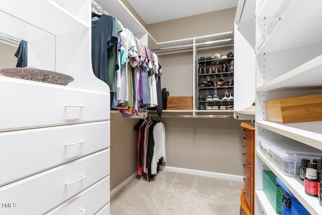 7804 Percussion Dr, Apex, NC 27539 - walk in closet with carpet floors