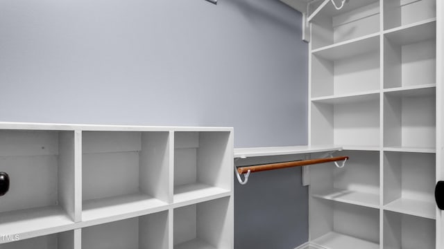 304 Spring St, Durham, NC 27703 - view of spacious closet