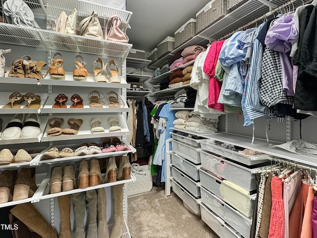 2438 Braxton Wood Ln, Apex, NC 27523 - spacious closet featuring carpet flooring
