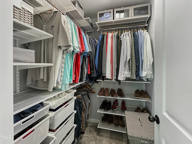 2438 Braxton Wood Ln, Apex, NC 27523 - walk in closet with carpet flooring