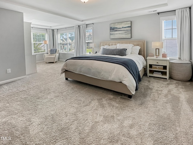2438 Braxton Wood Ln, Apex, NC 27523 - bedroom featuring a tray ceiling and carpet