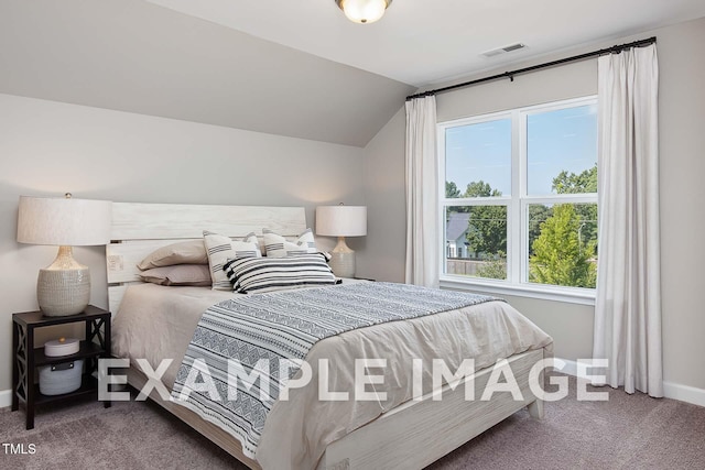 173 Old Fashioned Way, Lillington, NC 27546 - bedroom with carpet floors and lofted ceiling
