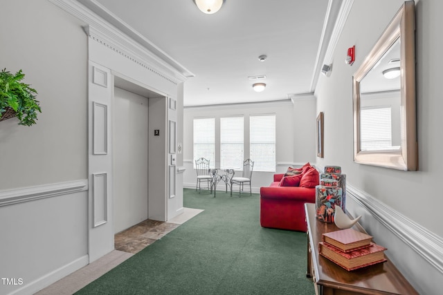 232 Eyam Hall Ln, Apex, NC 27502 - corridor featuring carpet and ornamental molding