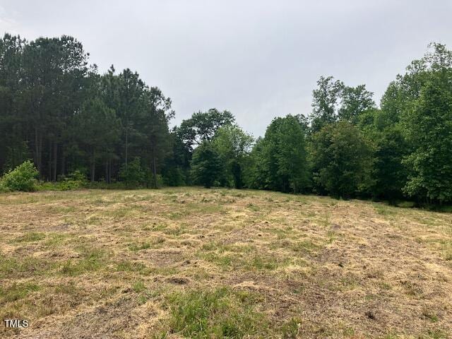 319 Vanstore Dr, Fuquay Varina, NC 27526 - photo 14