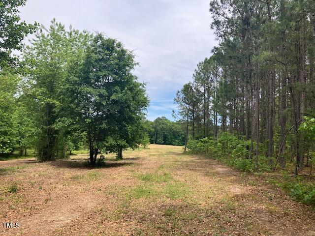 319 Vanstore Dr, Fuquay Varina, NC 27526 - photo 3