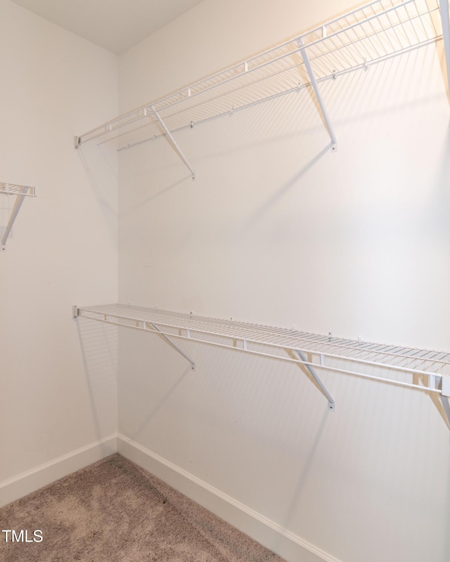 3206 Dandelion Dr, Grimesland, NC 27837 - spacious closet with carpet floors
