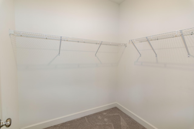 3206 Dandelion Dr, Grimesland, NC 27837 - spacious closet with carpet floors