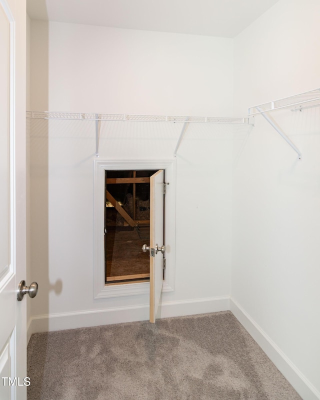 3206 Dandelion Dr, Grimesland, NC 27837 - spacious closet featuring carpet flooring