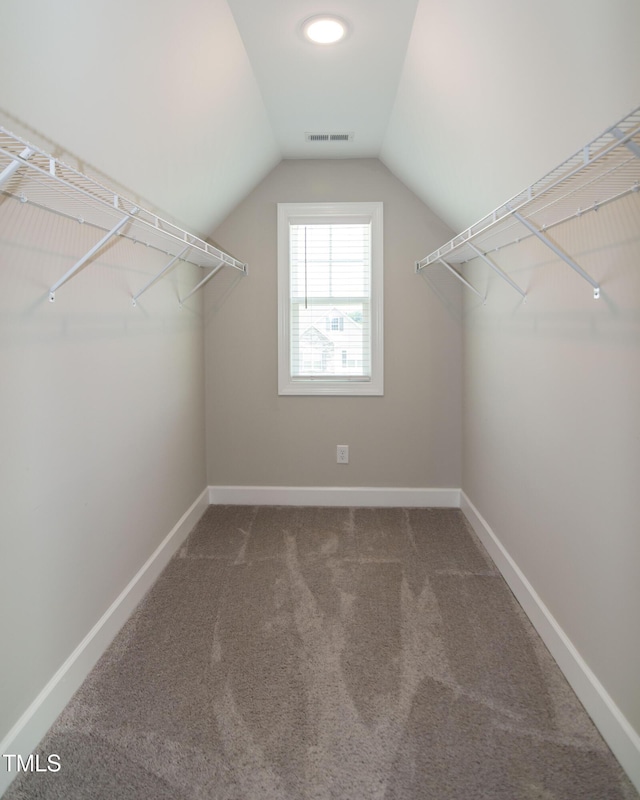 3206 Dandelion Dr, Grimesland, NC 27837 - spacious closet featuring vaulted ceiling and carpet floors