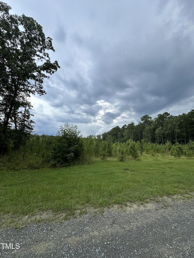 LOT17 Crown Oaks Dr, Oxford, NC 27565 - photo 5