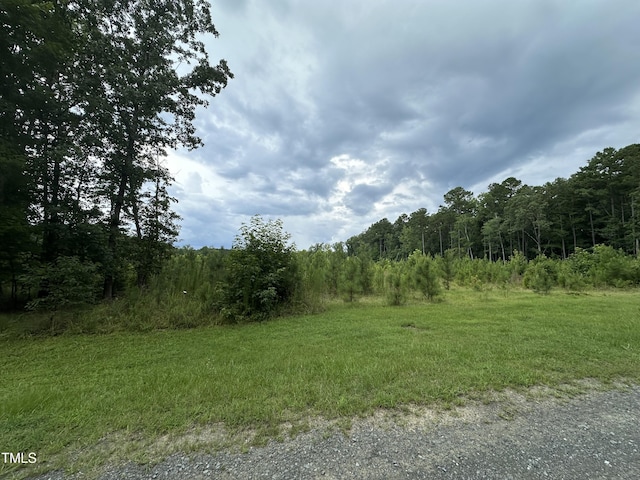 LOT17 Crown Oaks Dr, Oxford, NC 27565 - photo 2