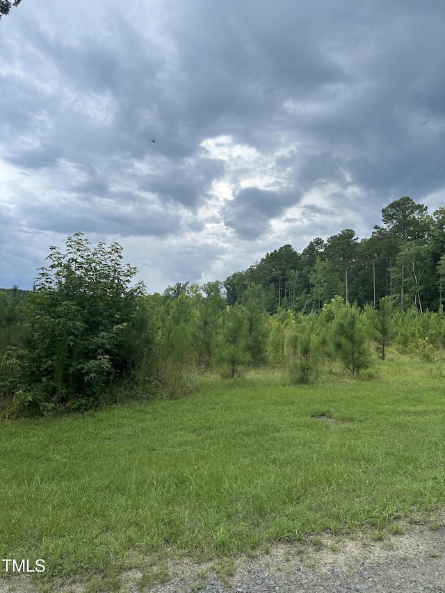 LOT17 Crown Oaks Dr, Oxford, NC 27565 - photo 7