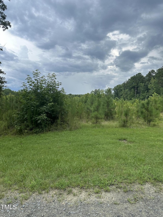 LOT17 Crown Oaks Dr, Oxford, NC 27565 - photo 8