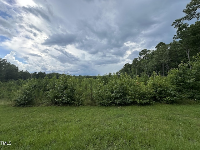 LOT17 Crown Oaks Dr, Oxford, NC 27565 - photo 1