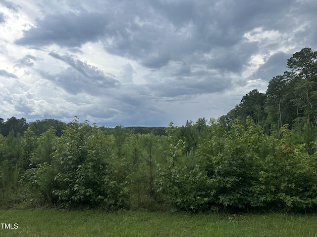 LOT17 Crown Oaks Dr, Oxford, NC 27565 - photo 3