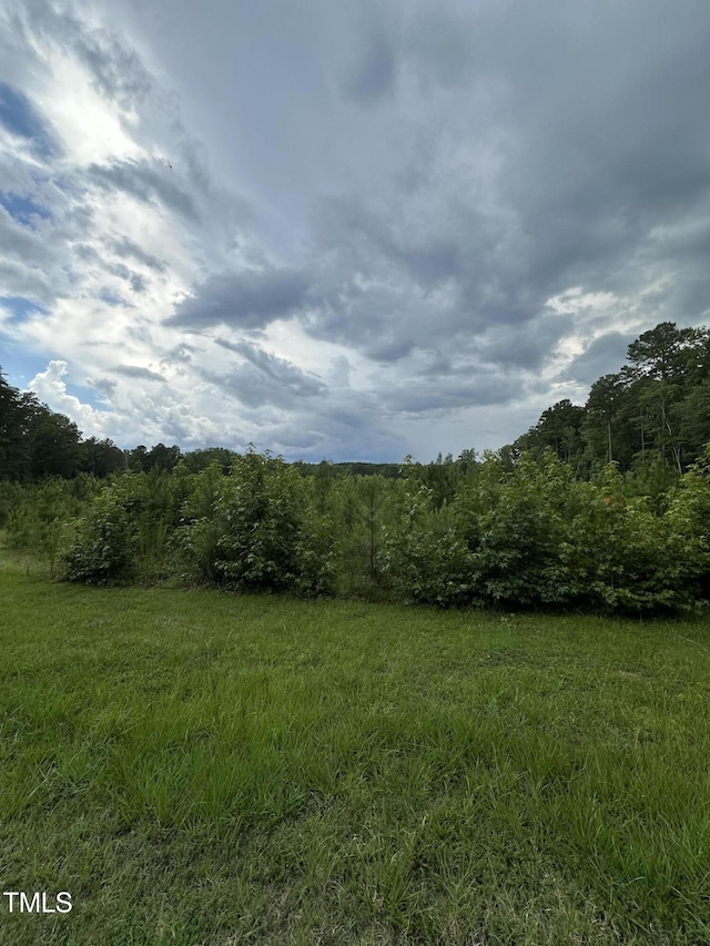 LOT17 Crown Oaks Dr, Oxford, NC 27565 - photo 9