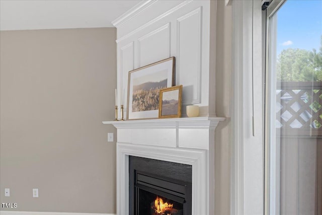 309 Ruby Walk Dr, Morrisville, NC 27560 - detailed view of a lit fireplace