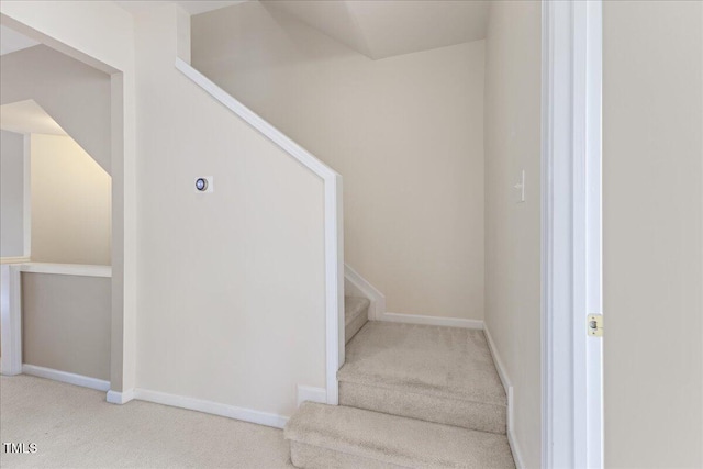 309 Ruby Walk Dr, Morrisville, NC 27560 - staircase with carpet floors