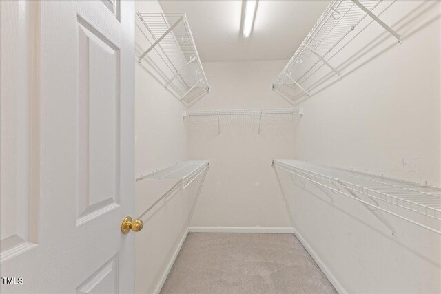 309 Ruby Walk Dr, Morrisville, NC 27560 - walk in closet featuring light colored carpet
