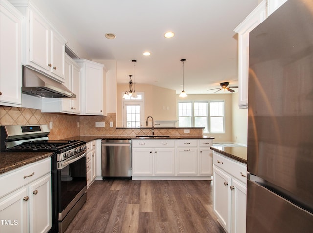 10119 Glen Autumn Rd, Raleigh, NC 27617 - kitchen with stainless steel appliances, under cabinet range hood, white cabinets, dark wood finished floors, and recessed lighting