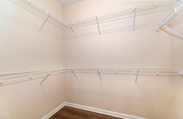 10119 Glen Autumn Rd, Raleigh, NC 27617 - walk in closet with dark wood-style flooring