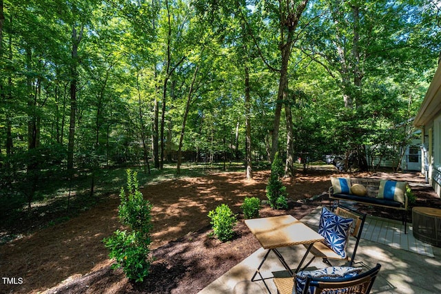 113 Summerlin Dr, Chapel Hill, NC 27514 - photo 22