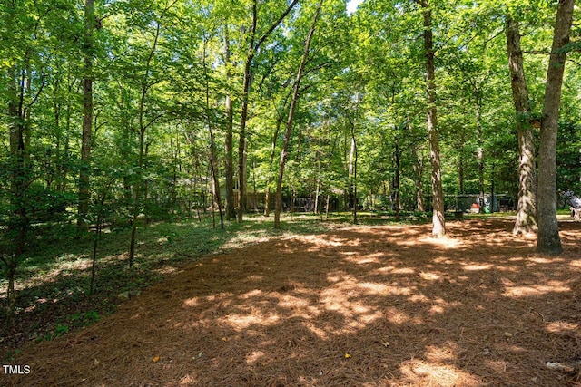 113 Summerlin Dr, Chapel Hill, NC 27514 - photo 23
