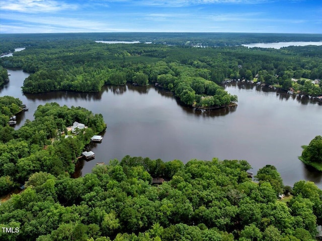 288 Lucky Ln, Bracey, VA 23919 - photo 4