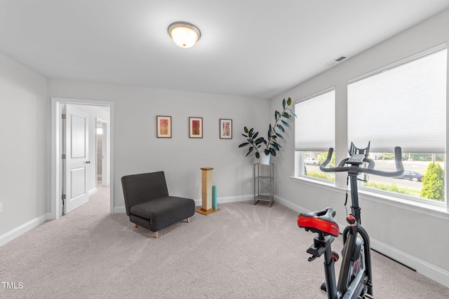 1315 Canary Pepper Dr Unit 28, Durham, NC 27713 - workout area with carpet floors and baseboards