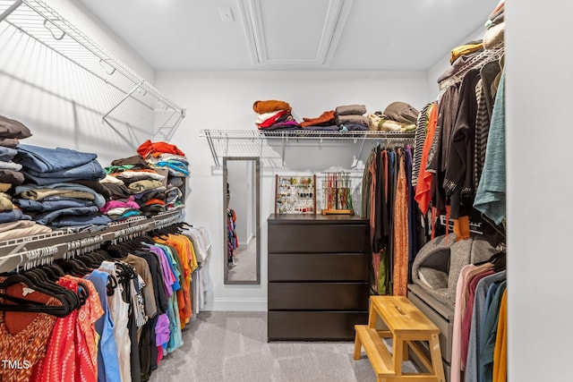 1315 Canary Pepper Dr Unit 28, Durham, NC 27713 - spacious closet with carpet floors and attic access