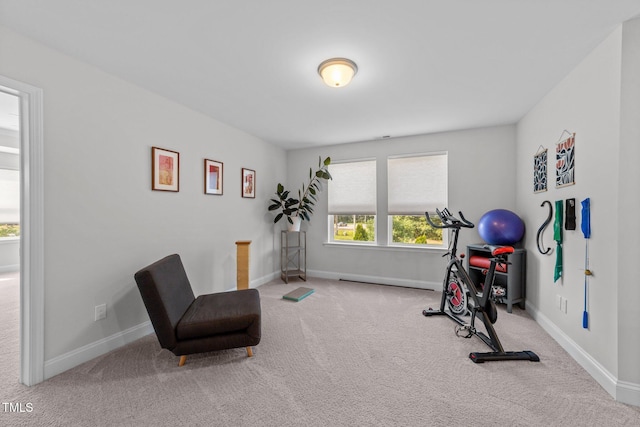 1315 Canary Pepper Dr Unit 28, Durham, NC 27713 - workout area featuring carpet floors and baseboards