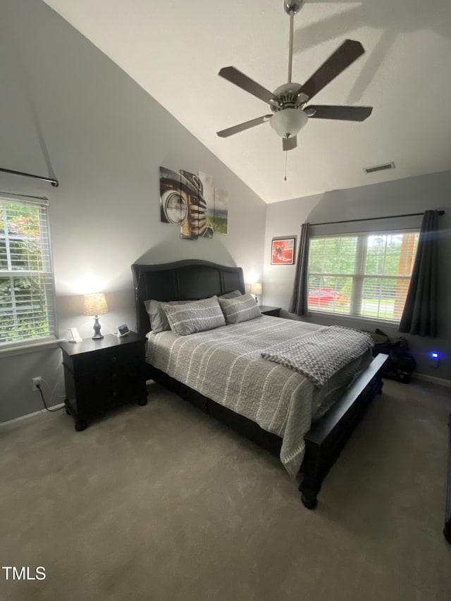30 Bethany Ln, Youngsville, NC 27596 - carpeted bedroom with lofted ceiling and ceiling fan