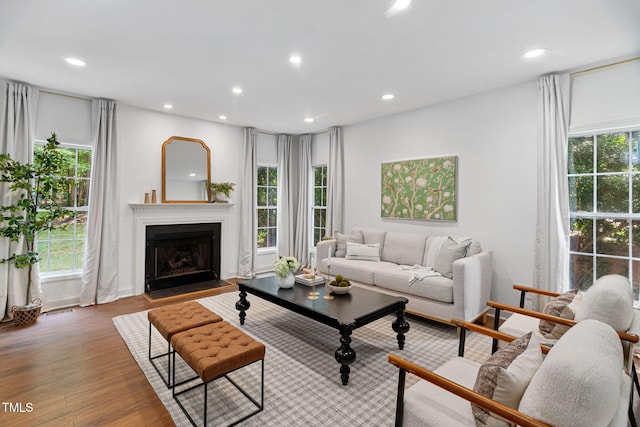 2800 Becketts Ridge Dr, Hillsborough, NC 27278 - living room featuring wood finished floors, recessed lighting, and a fireplace with flush hearth