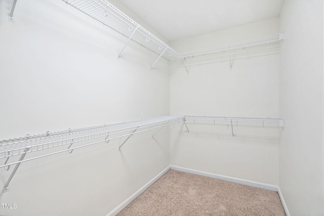 2800 Becketts Ridge Dr, Hillsborough, NC 27278 - walk in closet with carpet floors