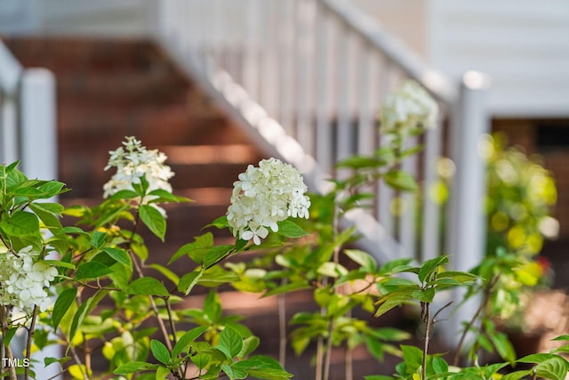 2800 Becketts Ridge Dr, Hillsborough, NC 27278 - detailed view