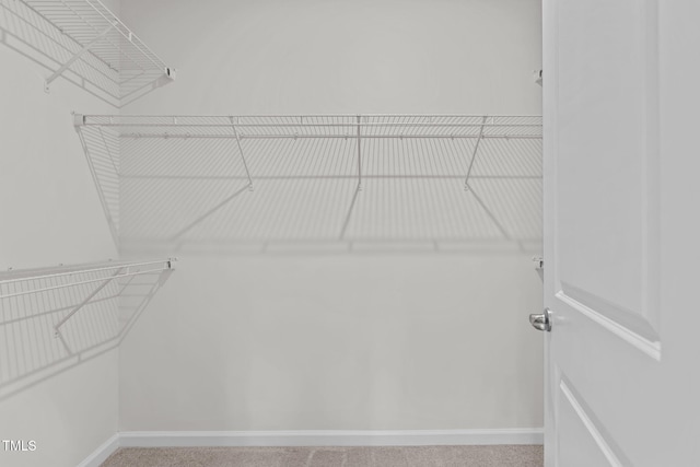 1119 Platform Dr, Apex, NC 27502 - spacious closet with carpet