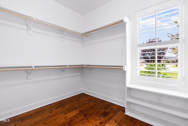 3313 Bentwinds Bluffs Ln, Fuquay Varina, NC 27526 - walk in closet featuring dark wood-style flooring