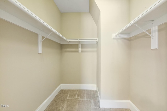 400 W Rosemary St Unit 102, Chapel Hill, NC 27516 - spacious closet featuring carpet flooring