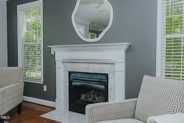 301 Grove Hall Ln, Mebane, NC 27302 - detailed view of wood finished floors, a fireplace, and crown molding