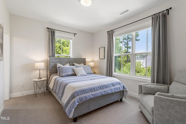 930 Watercolor Way, Durham, NC 27713 - carpeted bedroom with baseboards
