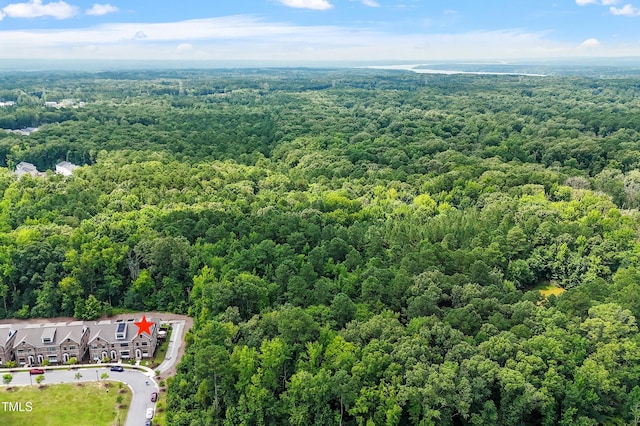 930 Watercolor Way, Durham, NC 27713 - bird's eye view of a forest