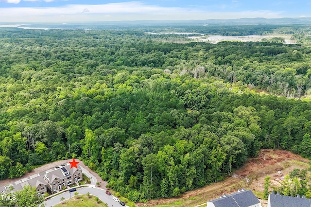930 Watercolor Way, Durham, NC 27713 - aerial view of a heavily wooded area