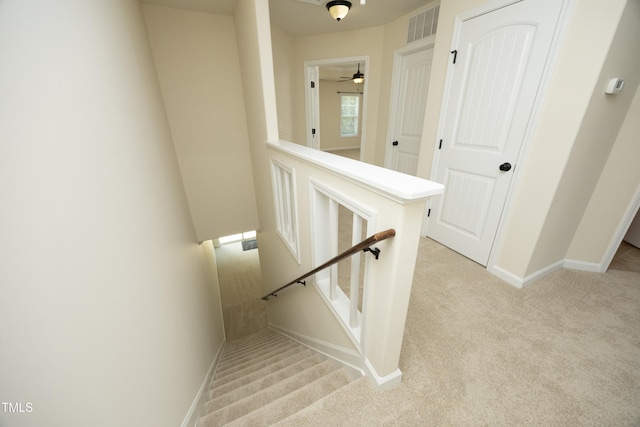 202 Leighann Ridge Ln, Rolesville, NC 27571 - photo 20