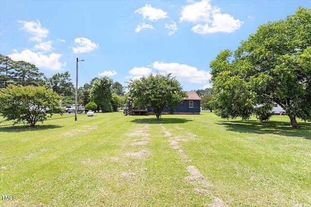 7323 Powell Hooks Rd, Lucama, NC 27851 - view of green lawn