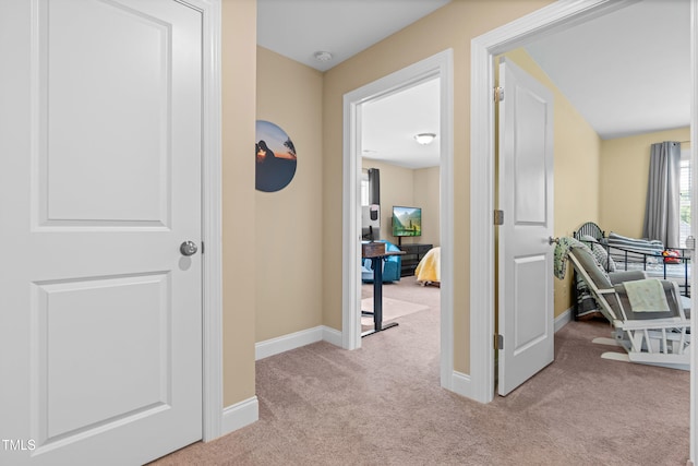 123 Trapper Pl, Benson, NC 27504 - photo 26